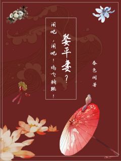 娶平妻？闹吧，闹吧！鸡飞狗跳！