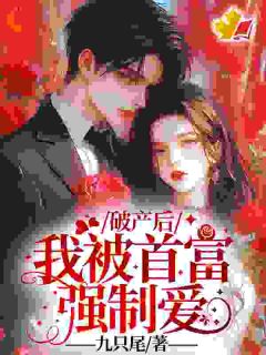 破产后,我被首富强制爱