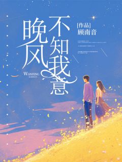 晚风不知我意by顾南音 宋晚沈寂阅读全文