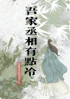 吾家丞相有点冷全章节免费在线阅读 苏芷沈砚完结版