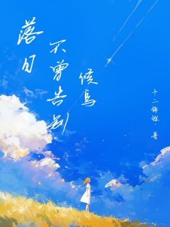 《落日不曾告别候鸟》小说精彩阅读 《落日不曾告别候鸟》最新章节列表