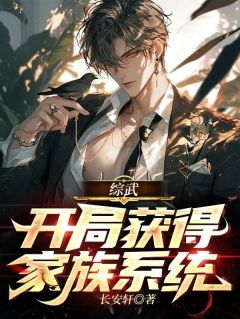 综武：开局获得家族系统