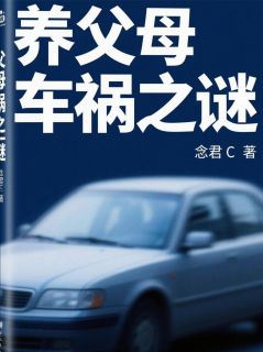 周明苏沐全文目录 养父母车祸之谜免费章节阅读
