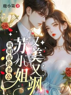 《新婚夜换老公,苏小姐又美又飒》苏奈蒋京墨全文精彩阅读