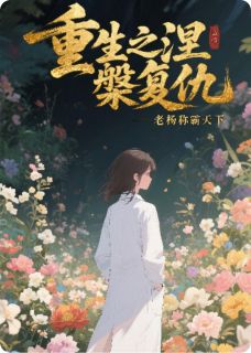 重生之涅槃复仇