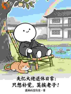 失忆大佬：只想补觉，莫挨老子！