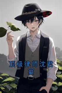 顶级律师沈君宴