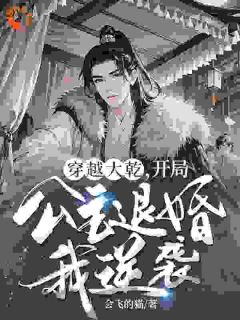 穿越大乾,开局公主退婚我逆袭!