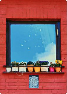 一杯酒,我就让他倾家荡产