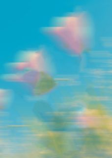 年夜饭上，守寡嫂子用脚蹭我老公