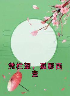 凭栏望,孤影西去