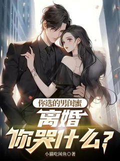 《你选的男闺蜜,离婚你哭什么?》免费阅读 王昆林若彤在线阅读