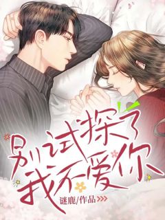 别试探了,我不爱你