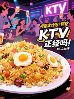 《夜夜卖炒饭？你这KTV正经吗！》小说完结版在线试读 陈念梦梦小说阅读