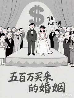 五百万买来的婚姻