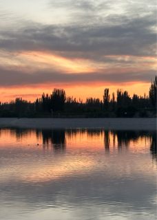 渣男误穿诡异世界,求我救他