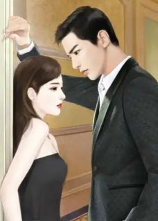 她曾路过人间全本资源 赵启铭许乔珊完整未删减版