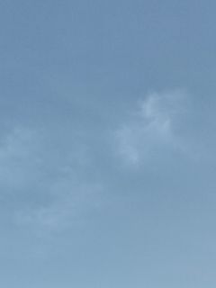 职业骗子，骗心不骗身