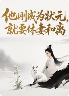 《他刚成为状元，却要休妻和离》苏晚陆明远赵婉儿大结局免费阅读
