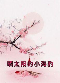 晒太阳的小海豹