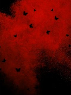 《他的夜色尽头，我的晨光初绽》小说全文精彩阅读 《他的夜色尽头，我的晨光初绽》最新章节目录