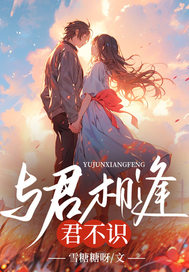 与君相逢君不识