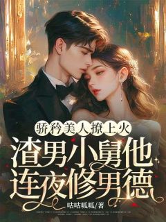 骄矜美人撩上火,渣男小舅他连夜修男德全章节免费免费试读 宋颜靳郁南小说完结版