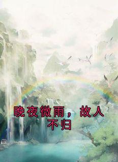 晚夜微雨,故人不归