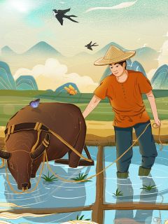 老公逼我打掉死胎后，我杀疯了段淮川叶清婉全文在线阅读