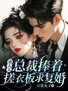 盛太太,总裁捧着搓衣板求复婚