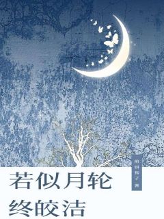 若似月轮终皎洁