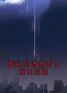 婚礼现场他丢下我去找猫