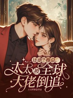 离婚后穆总失控了