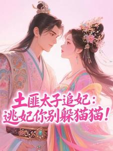 土匪太子追妻：逃妃你别躲猫猫！