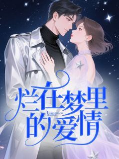 烂在梦里的爱情