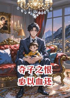 《夺子之恨，必以血还！》贺沉舟陆承泽苏晚意大结局在线试读