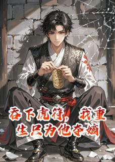 吞下虎符,我重生只为他夺嫡