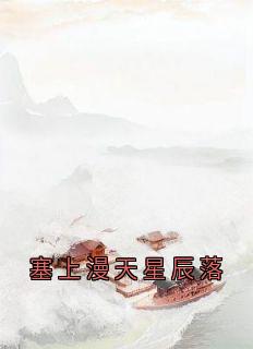 塞上漫天星辰落