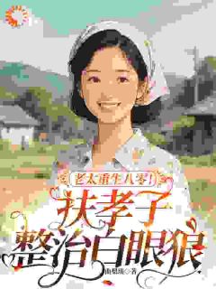 林清如杜景风小说 《老太重生八零！扶孝子整治白眼狼》小说全文精彩阅读