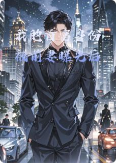 我的首富身份被前妻曝光后小说全文在线阅读 叶枫苏沐雨全文完整版章节