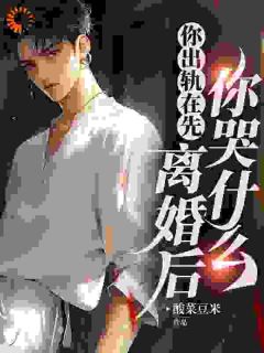 你出轨在先,离婚后你哭什么