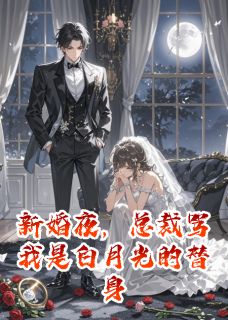 苏晚意厉沉渊小说 《新婚夜,总裁骂我是白月光的替身》小说全文在线阅读