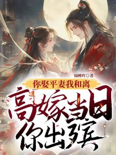 你娶平妻我和离,高嫁当日你出殡