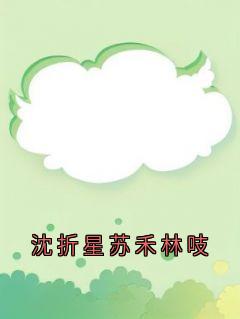 沈折星苏禾林吱