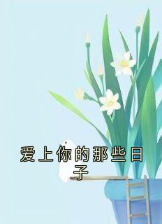 爱上你的那些日子