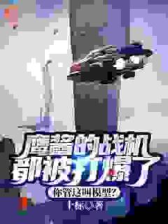 《鹰酱的战机都被打爆了,你管这叫模型?》小说精彩阅读 《鹰酱的战机都被打爆了,你管这叫模型?》最新章节列表