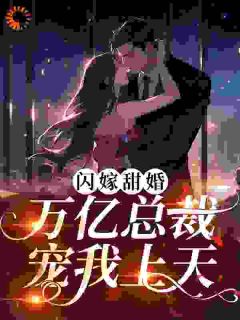 闪嫁甜婚,万亿总裁宠我上天