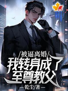 被逼离婚,我转身成了至尊教父