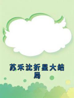 苏禾沈折星大结局