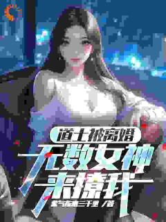 道士被离婚,无数女神来撩我